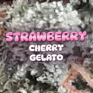 Strawberry Cherry Gelato Cannabis Strain