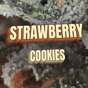 Strawberry Cookies Cannabis Strain