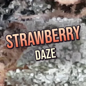 Strawberry Daze Cannabis Strain