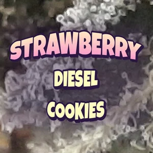 Strawberry Diesel Cookies Cannabis Strain