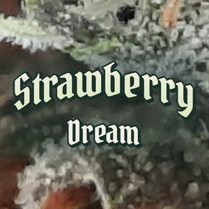 Strawberry Dream Cannabis Strain