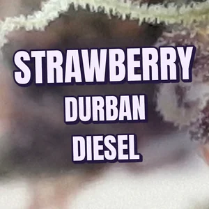 Strawberry Durban Diesel Cannabis Strain