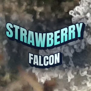 Strawberry Falcon Cannabis Strain