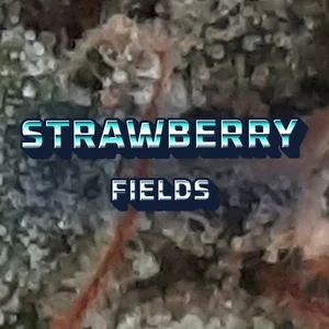 Strawberry Fields Cannabis Strain