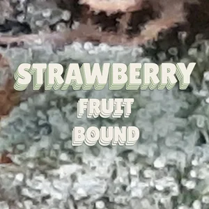 Strawberry Fruit Bound Cannabis Strain