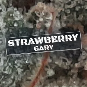 Strawberry Gary Cannabis Strain