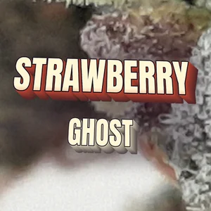 Strawberry Ghost Cannabis Strain