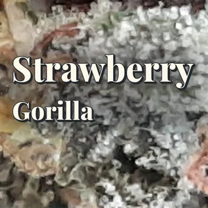 Strawberry Gorilla Cannabis Strain