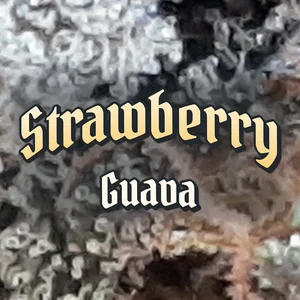 Strawberry Guava Cannabis Strain
