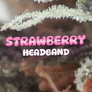 Strawberry Headband Cannabis Strain
