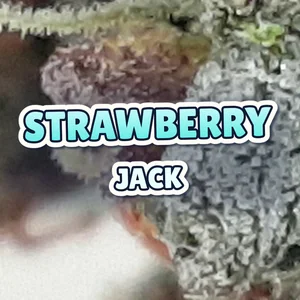 Strawberry Jack Cannabis Strain