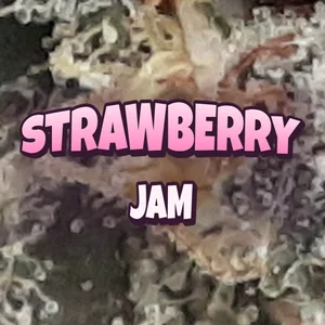 Strawberry Jam Cannabis Strain