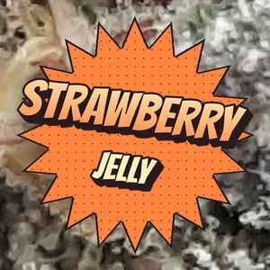 Strawberry Jelly Cannabis Strain