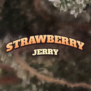 Strawberry Jerry Cannabis Strain