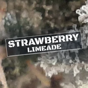 Strawberry Limeade Cannabis Strain