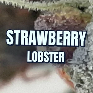 Strawberry Lobster Cannabis Strain