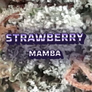 Strawberry Mamba Cannabis Strain
