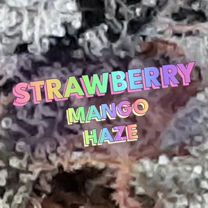 Strawberry Mango Haze Cannabis Strain
