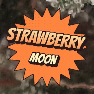 Strawberry Moon Cannabis Strain