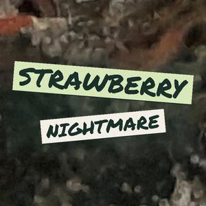 Strawberry Nightmare Cannabis Strain