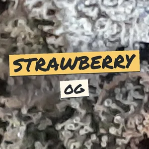 Strawberry OG Cannabis Strain