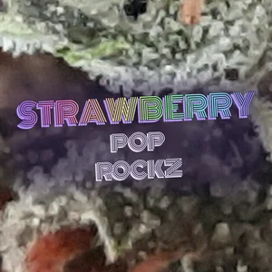 Strawberry Pop Rockz Cannabis Strain
