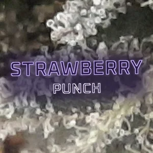 Strawberry Punch Cannabis Strain