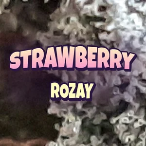 Strawberry Rozay Cannabis Strain