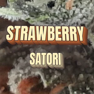 Strawberry Satori Cannabis Strain