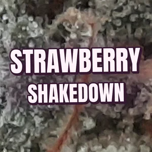 Strawberry Shakedown Cannabis Strain