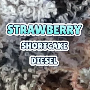Strawberry Shortcake Diesel Cannabis Strain