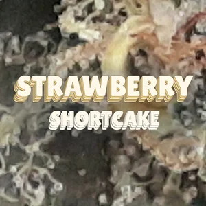 Strawberry Shortcake Cannabis Strain
