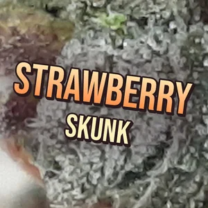 Strawberry Skunk Cannabis Strain
