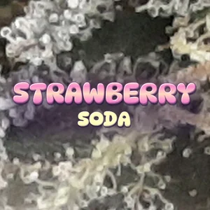 Strawberry Soda Cannabis Strain