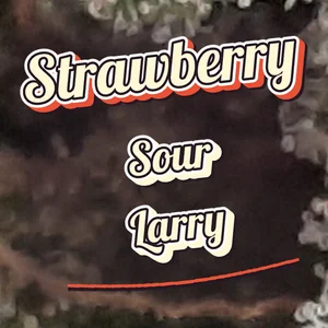 Strawberry Sour Larry Cannabis Strain