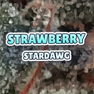 Strawberry Stardawg Cannabis Strain