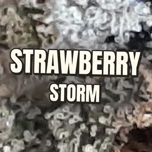 Strawberry Storm Cannabis Strain