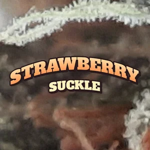 Strawberry Suckle Cannabis Strain