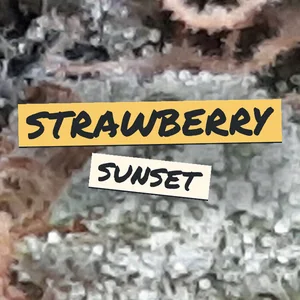 Strawberry Sunset Cannabis Strain