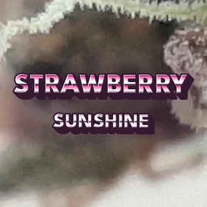 Strawberry Sunshine Cannabis Strain