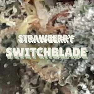 Strawberry Switchblade Cannabis Strain