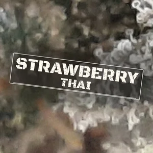 Strawberry Thai Cannabis Strain