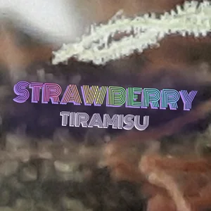 Strawberry Tiramisu Cannabis Strain