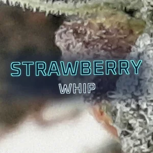 Strawberry Whip Cannabis Strain