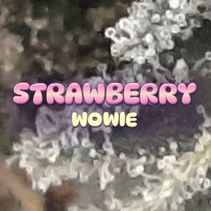 Strawberry Wowie Cannabis Strain