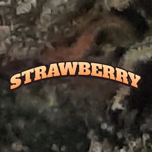 Strawberry Cannabis Strain