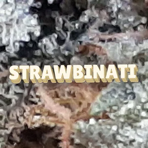 Strawbinati Cannabis Strain