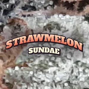 Strawmelon Sundae Cannabis Strain