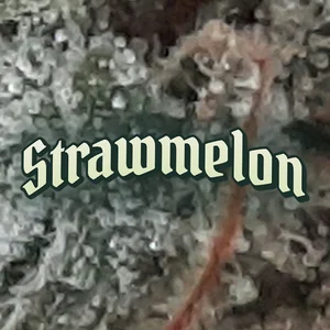 Strawmelon Cannabis Strain