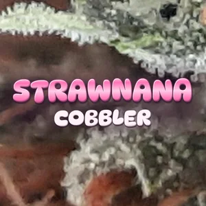 Strawnana Cobbler Cannabis Strain